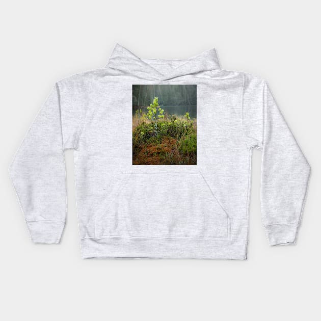 Small pine tree in swamp Kids Hoodie by Juhku